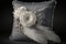 luxurious pillow filled with soft feathers, surrounded by delicate lace