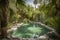 luxurious, serene oasis with crystal-clear swimming pool and garden of palms and cacti