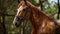 Luxurious Textures: A Captivating Horse In The Woods