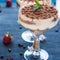 Luxurious tiramisu in cocktail glasses decorated with cocoa powder on a dark background