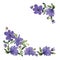 Luxurious watercolor purple flowers. Corner pattern with flowers.