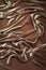 Luxurious waves of bronze velvet background