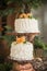 Luxurious wedding cakes