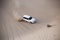 Luxurous white SUW 4x4 drifts on desert safari on dunes exreme racing in arabia travel rally on sand in sports vehicle