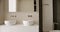Luxury Bathroom Interior and white washbasin and mirror in Modern Interior
