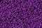 Luxury black animal print on a purple glitter background