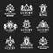 Luxury boutique Royal Crest high quality vintage product heraldry logo collection brand identity vector illustration.