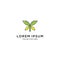 Luxury butterfly logo with yellow and green fresh color style