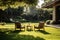 Luxury chairs backyard modern. Generate Ai