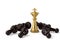 Luxury chess gold king and black pawns on white background.3D il