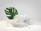 Luxury Collection Marble Set Podium With Monstera Plant 3d Render