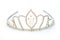 Luxury crown with diamonds, a diadem jewelry.