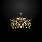 Luxury Crown Logo