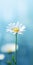 Luxury Daisy: Minimalist Mobile Wallpaper For Lg Z9