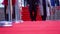 Luxury festival with the red carpet, two people are walking, close up