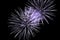 Luxury fireworks event sky show with purple big bang stars