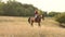 Luxury girl riding horse in field at sunset.