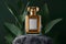 Luxury glass perfume bottle mockup, front view for branding