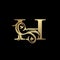 Luxury Gold Letter H Floral Leaf Logo Icon,  Classy Vintage vector design concept for emblem, wedding card invitation