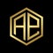 Luxury golden Initials Letter AE Logo Design Template Insignia