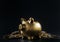 Luxury golden pig money box on black background. concept of big savings finance