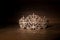 Luxury golden royal diadem on wooden background. Princess