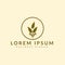 Luxury Grain wheat logo concept, Agriculture wheat Logo Template vector icon