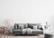 Luxury gray living room design, gray sofa on empty wall mockup