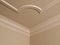 Luxury Home ceiling detail