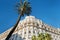 Luxury hotel Miramar in Cannes, palm tree and blue sky