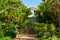 Luxury house with garden landscape and entrance fence