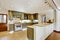 Luxury khaki kitchen interior