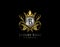 Luxury King B Letter Gold Logo, Golden B Classic Crown