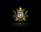 Luxury King D Letter Gold Logo, Golden D Classic Crown