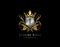 Luxury King J Letter Gold Logo, Golden J Classic Shield Crown