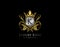 Luxury King K Letter Gold Logo, Golden K Classic Shield Crown