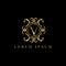 Luxury letter V Logo. Vector logo template sign, symbol, icon, vector luxury frame