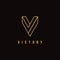 Luxury minimalist Letter V logo