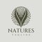 Luxury nature initial V logo design template. Elegance floral leaf letter V logo