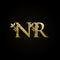 Luxury NR Letter gold classy logo