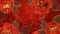This is a luxury oriental flower background modern with beautiful peony flowers and golden leaves on a red background