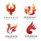 Luxury phoenix logo set concept