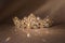 Luxury precious gold diadem with crystals. Jewellery