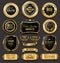 Luxury retro badges gold and silver collection vector illustration