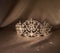 Luxury royal crown diadem with diamonds. Symbol of success, power and wealth