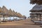 Luxury sand beach with beach chairs and straw umbrellas in tropical resort in Red Sea coast in Egypt, Africa