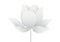 Luxury silver lotus flower on white background