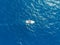 Luxury speed motor boat blue water. Aerial view