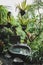 Luxury stone outdoor bath in tropical green jungle