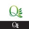 Luxury Tropical Nature Leaves letter Q logo